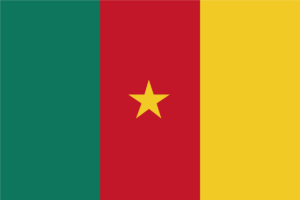 エチオピアの国旗 意味やイラストのフリー素材など 世界の国旗 世界の国旗