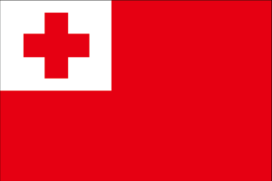 パプア ニューギニア 国旗 Article